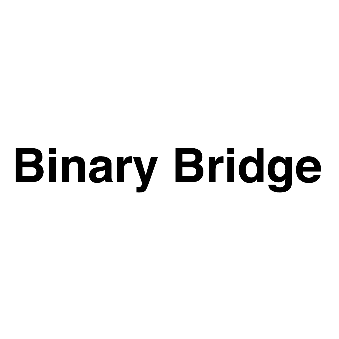 /assets/images/customer-interview/binarybridge/binarybridge-logo.png