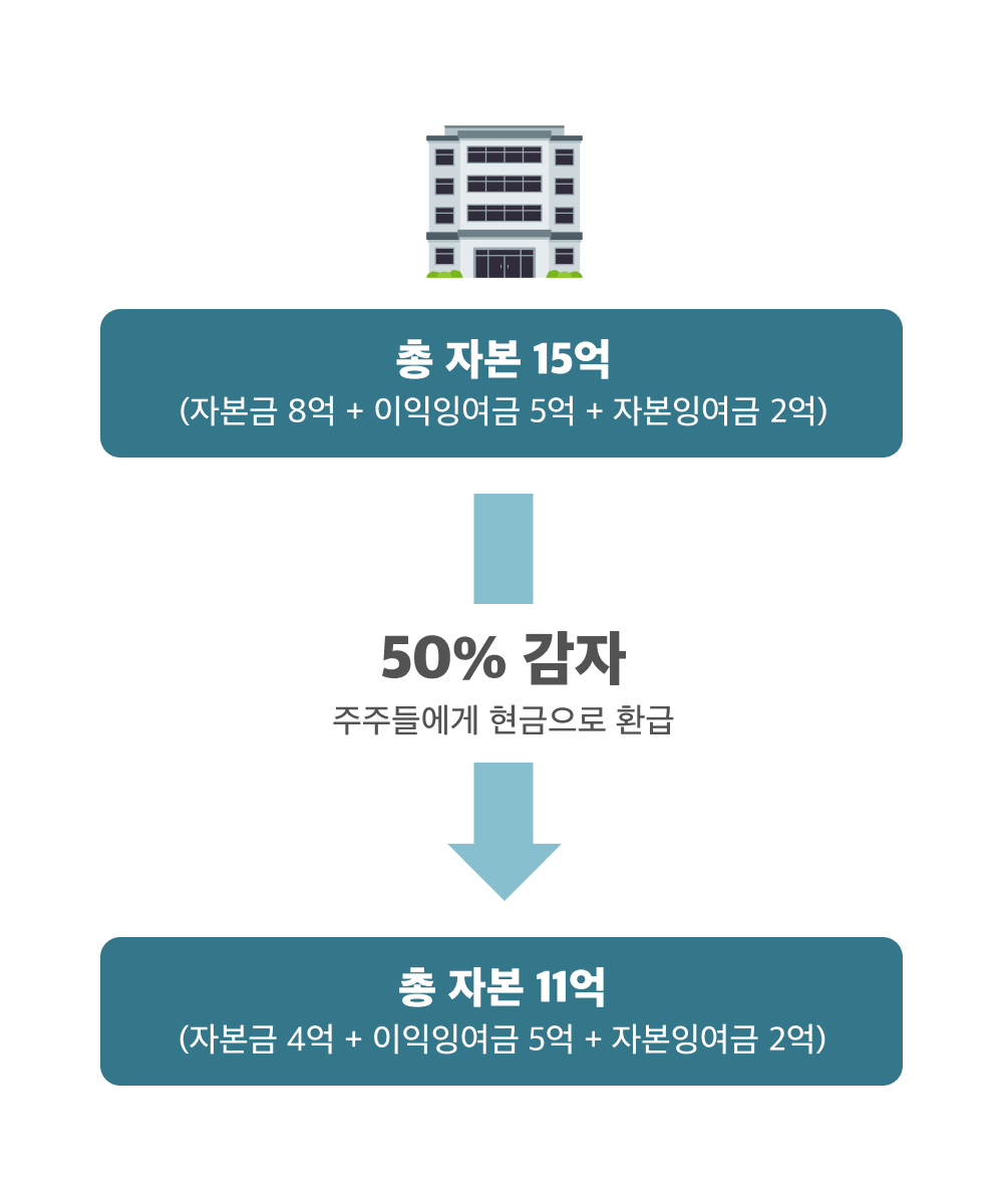 /assets/images/guide/capital-reduction/capital-reduction-1.png